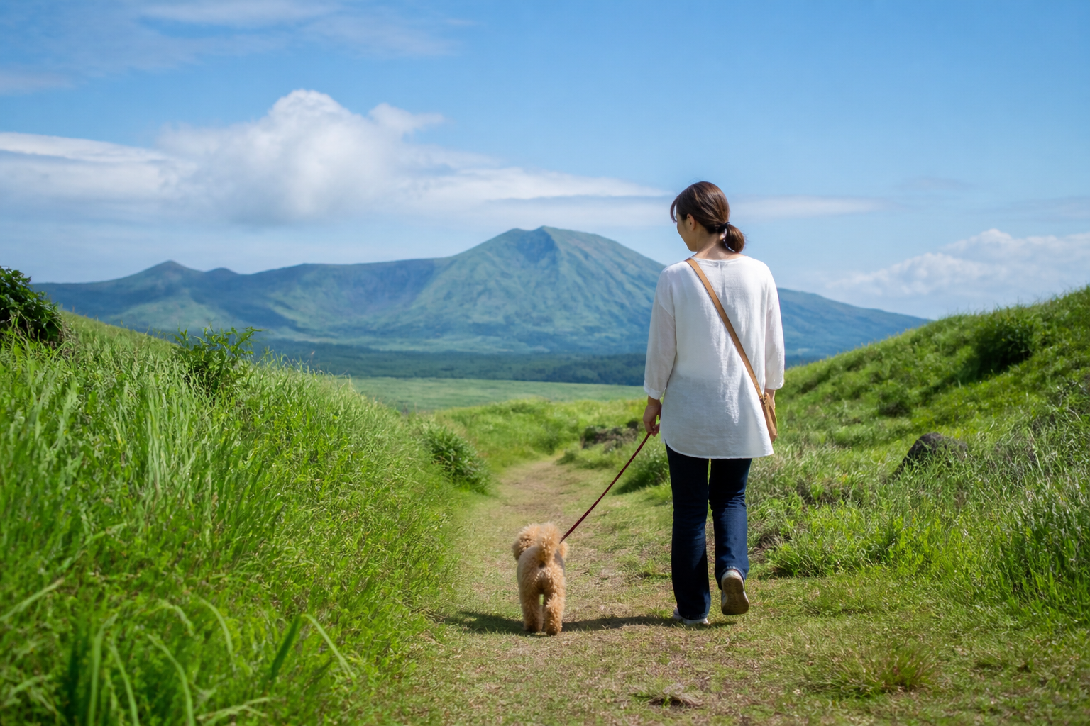 阿蘇の草原を歩く人と犬